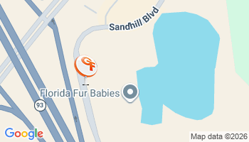 Punta Gorda, FL Flood Insurance Agency